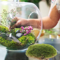 La decoración de oficina imita piedra de musgo, moldes falsos, bolas de plantas en miniatura, bonsái, decoraciones artificiales, diseño de jardín, - details 7