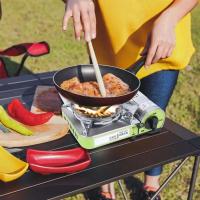 Estufa de gas portátil para camping, quemador MS-8000, caja resistente al viento, accesorios de cocina - details 2