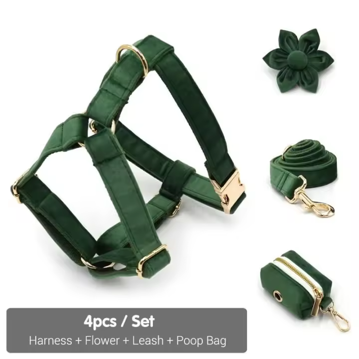 Terciopelo Verde Pavo real Grabado, Conjunto Correa de arnés Perros personalizado, Collar able sin escape para mascotas con - 1