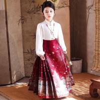 Hanfu, nueva falda con cara de caballo chino para niños, ropa estilo Tang de Año Nuevo para niñas, conjunto de temporada de primavera y otoño - details 6