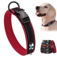 Collar perro acolchado de nailon personalizado, reflectantes personalizados para perros pequeños, medianos y grandes, collares - details 2