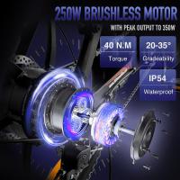 FAFREES F20 Bicicleta Eléctrica, Motor de 250W, Batería de 36V 16Ah, Neumáticos Anchos de 20*3 pulgadas, Velocidad Máxima de 25km/h, Autonomía de 60-80km, SHIMANO de 7 Velocidades, Frenos de Disco Mecánicos, Tracción Trasera, Pantalla LCD- Gris - details 2