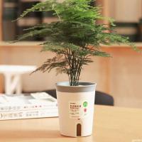 ETA de plástico hidropónico de riego de doble capa, ETA de absorción automática de agua para plantas - details 5