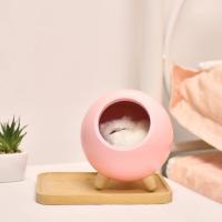 Luz LED de noche creativa para mascotas, lámpara de decoración de mesa recargable por USB para dormitorio, regalos para niños, Pequeño gato - details 7
