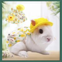 Accesorios de Traje para Mascota de Conejo Correa al Aire Libre con Bolsa y Gorro - details 1