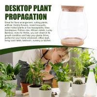 Estaciones de propagación de plantas, terrario de plantas de escritorio separado de 2 piezas con bandeja de madera y tapa para propagar hidropónico - details 4