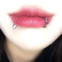 Anillo de Nariz de Acero Inoxidable Estilo Pendiente de Septum para Mujeres - details 1