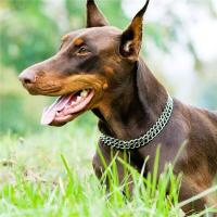 Ahogador para perros con cadena antideslizante P para perros pequeños, medianos y grandes, cuellos de entrenamiento Titan duraderos, mascota estable cromada de 2 filas - details 4