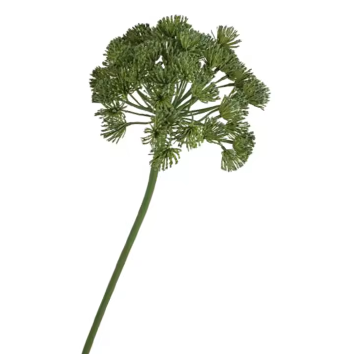 Flor de encaje Artificial de 66cm, flor falsa elegante de plástico, tacto Real, rama de flor de cebolla hecha a mano, decoración de jardín al aire libre - 1