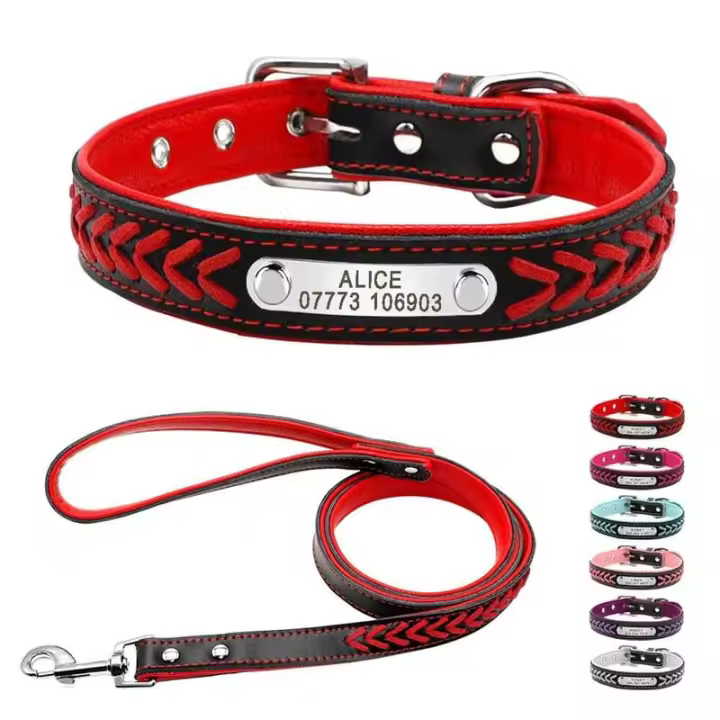 grabado perro, collares trenzados etiqueta identificación, placa con nombre, Collar personalizado mascotas, correa caminar de - 1