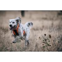 Chaleco de protección Browning para perros, chaleco de caza para perros, naranja de seguridad, mediano - details 1
