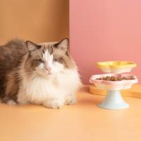 Cuenco de cerámica antivuelco para gatos, cuenco antideslizante antivómitos para mascotas, cuenco de pie alto, bonito con diseño de flores, alimentador para beber y comer para mascotas - details 10