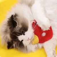 Divertido juguete para masticar para perros, juguete chirriante con forma de letra, resistente a mordeduras, juguetes de peluche para mascotas con sonido, juguete para masticar para aliviar el aburrimiento - details 3