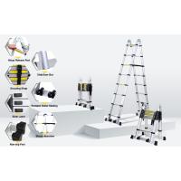 Escalera telescópica