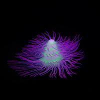 Acuario de silicona para paisajismo, plantas acuáticas artificiales coloridas con efecto fluorescente, árbol de Navidad suave, Coral, mesa - details 2