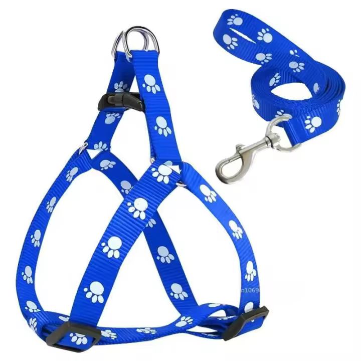 Correa perro pequeño, cachorros, conjunto correas arnés peluche, bonito juego cuerdas plomo, correa gato y gatito, decoración de - 1