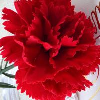 Claveles rojos artificiales de tacto Real, manualidades DIY, 54cm, flor de clavel de simulación, plantas falsas hechas a mano realistas, aniversario - details 2