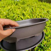 Plantas jugosas cuadradas, ovaladas, hexagonales, bonsái, pequeño éter de plástico en ETA, imitación cerámica morada, venta al por mayor - details 12