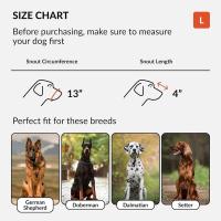 CollarDirect Bozal para Pastor Alemán Dálmata Doberman Setter Cesta de Cuero Razas Medianas Grandes Negro Marrón (M, Castaño - details 4