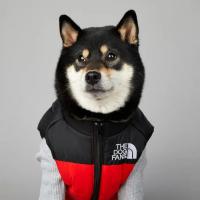 Chubasquero cálido de invierno para perros grandes, ropa de algodón para mascotas, abrigo a prueba de viento y lluvia - details 3