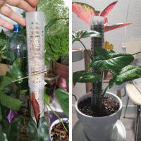 Columna de escalada de plantas, poste de musgo Sphagnum, soporte de cultivo de plantas, soporte de retención de agua, palo de extensión de plantas rico en fertilizante - details 10