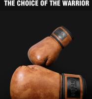 Guantes de Boxeo Retro Colores para Adultos Cuero PU para MMA, Muay Thai, Sanda GYM 6 a 12OZ - details 2