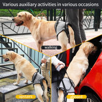 Arnés de soporte de pierna trasera ajustable para perros mayores/discapacitados - Ayuda de movilidad con correas transpirables - details 2