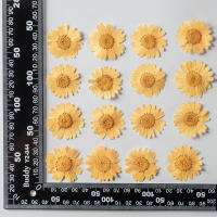Juego de 12 Uds. De flores secas naturales de 2,5-4cm para rellenos de funda de teléfono DIY, flor de crisantemo de cristal prensado, decoraciones artísticas para uñas - details 23