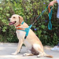 Collar de Cuero de Nylon para Perros Correa de Captura de Mascotas sin Tirón para Perros Pequeños y Grandes Correa de Vestir de Mascotas - details 24