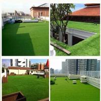 Césped artificial multiusos, simulación de musgo, alfombra, PAISE, decoración del suelo del hogar, interior y exterior - details 6