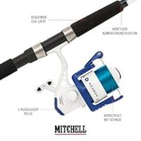 Infographic Mitchell Neuron Dorade - Juego de pesca