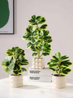 Pequeña Planta Hoya Artificial en Forma de Corazón Falsas Piñas Jugosas - details 9