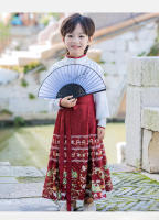 Conjunto de Falda Hanfu para Niñas Otoño 2025 Traje de Estilo Chino Antiguo para Actuaciones de Recitación Zapatos y Ropa - details 13