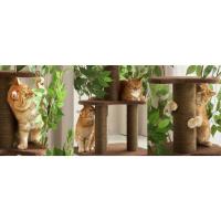 arbre a chat moderne arbre a chat fleur arbre a chat design arbre a chat meuble arbre a chat cactus