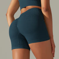 Hamidou-pantalones cortos de Yoga para mujer, Shorts deportivos de cintura alta, sin costuras, con realce de glúteos, para gimnasio, entrenamiento de verano - details 28
