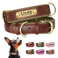 Collar de Cuero Personalizado para Perros Suave y Almohadilla Placa de Identificación de Mascota - details 5