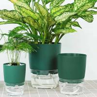 Vivero de doble capa verde, planta jugosa de alta calidad, plantación circular CA, jardinería ETA, decoración de escritorio - details 0