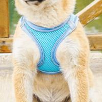 Conjunto de correa y arnés ajustable para perro, arnés reflectante transpirable para gato, chaleco a prueba de Escape, cómoda correa para el pecho para perro, para caminar al aire libre - details 4
