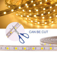 Tira de luces LED de CA 220V con enchufe de interruptor SMD5050, 60LEDs/m, cinta LED impermeable, Blanco/blanco cálido, rayas flexibles - details 1