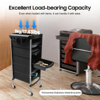 Estantería de salón, carrito de herramientas de salón, herramientas de peluquería, carrito de belleza con empuje para conductor - details 3