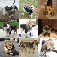 ATUBAN Leather Dog Coats Waterproof Dog Winter Coat Puppy Jackets for Small to Medium Dogs clothes for pets dog clothes winter - details 5