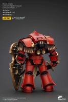 JOYTOY 40k 1/18 Figuras de acción Anime 13,6 cm Blood Angels Crimson Paladins Squad - details 9