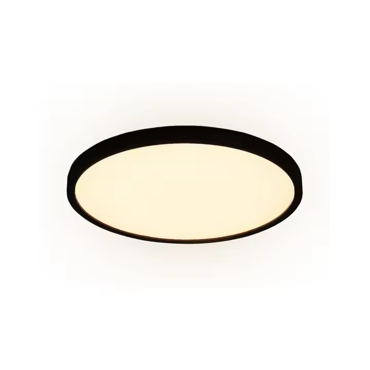 Panel LED blanco redondo ultrafino CBJKTX 20W con control remoto - 1