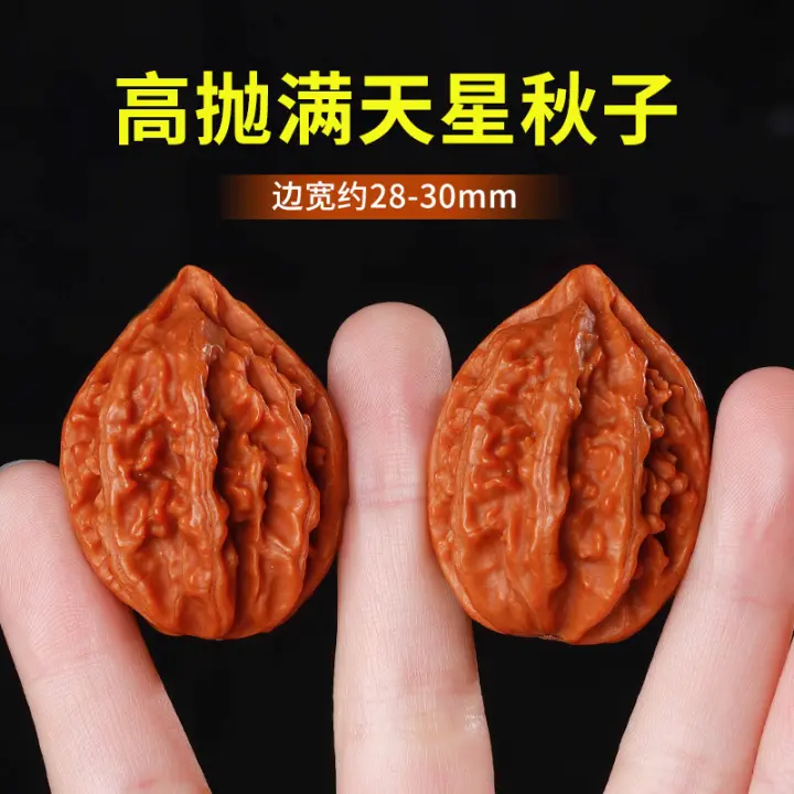 Nueces silvestres pequeñas, semillas de otoño, puntas de los dedos retorcidas, mini juego con los dedos, tamaño, juego con las manos masculinas y femeninas - 1