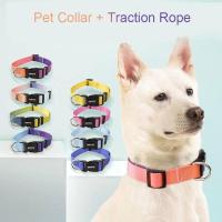 Correa tracción Collar gato, adecuada perros pequeños y grandes, Bulldog, Pugs Beagle, correa ustable de nailon para perro - details 0