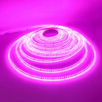 GAHADA Luces de Tira LED 5M o 10M 12V 24V 180LEDs/m Decoración de Habitación Blanco Cálido - details 9