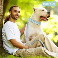 Collar de cuero, correa elegante y duradera, arnés mediano, collares de mochila para perros, collares de transporte - details 3