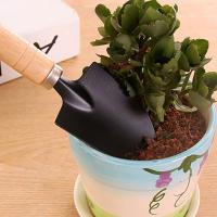 Juego de Herramientas de Jardín Mini Set de 3 Herramientas para Plantar, Poda, Sierras y Cultivos - details 12