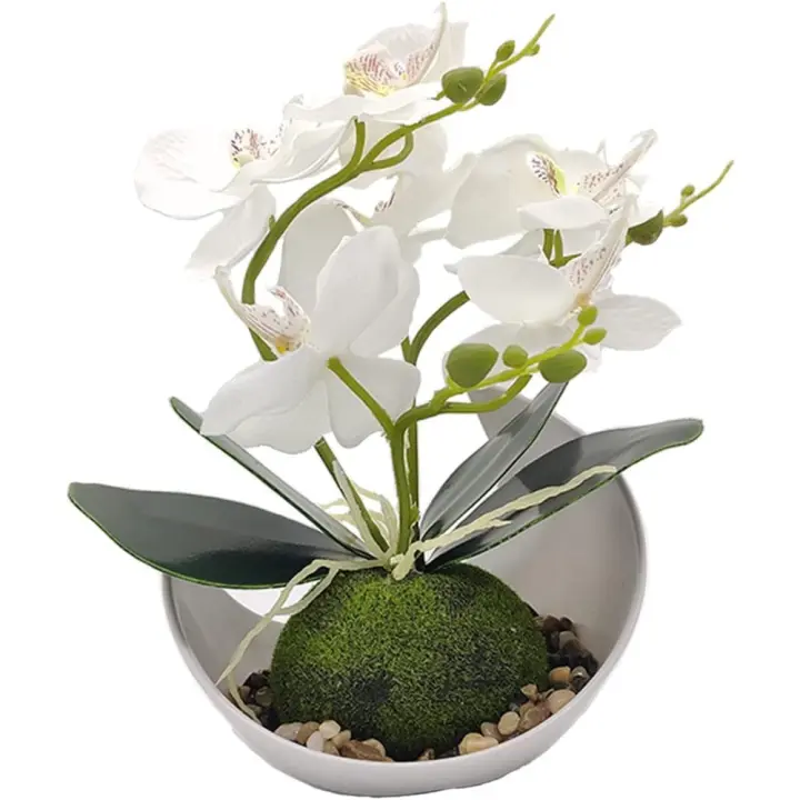 Flores de Orquídea Artificiales Phalaenopsis Falso de Plástico con Maceta Blanca - 1