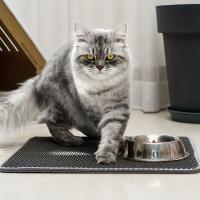 Tapete de atrapamiento de arena para gatos de doble capa en forma de panal de abeja, antideslizante y lavable, para la limpieza - details 15